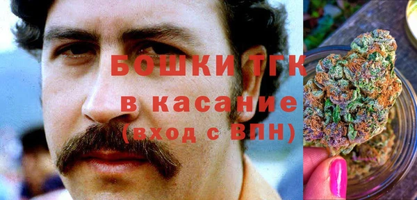 метадон Алексин