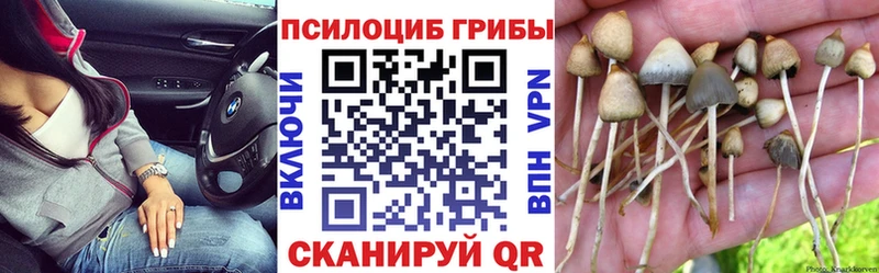 Галлюциногенные грибы MAGIC MUSHROOMS  Купить где  Белинский 