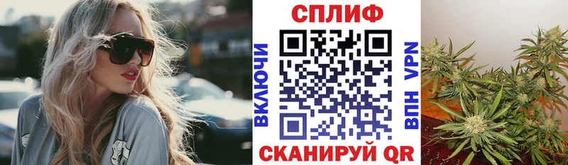 Конопля семена  Купить где  Белинский 